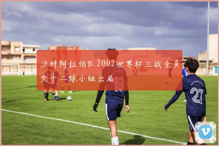 沙特阿拉伯队2002世界杯三战全负失十二球小组出局