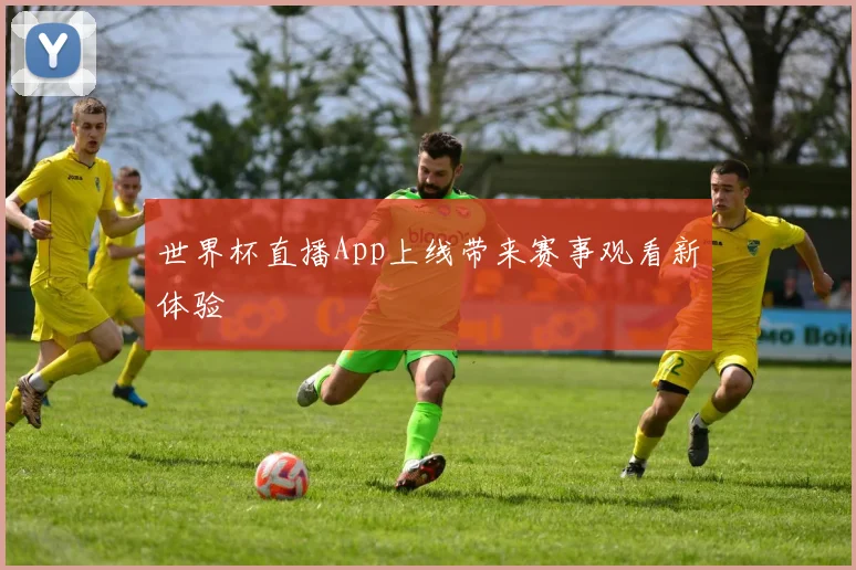 世界杯直播App上线带来赛事观看新体验